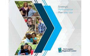 strategic performance plan 2019-2021