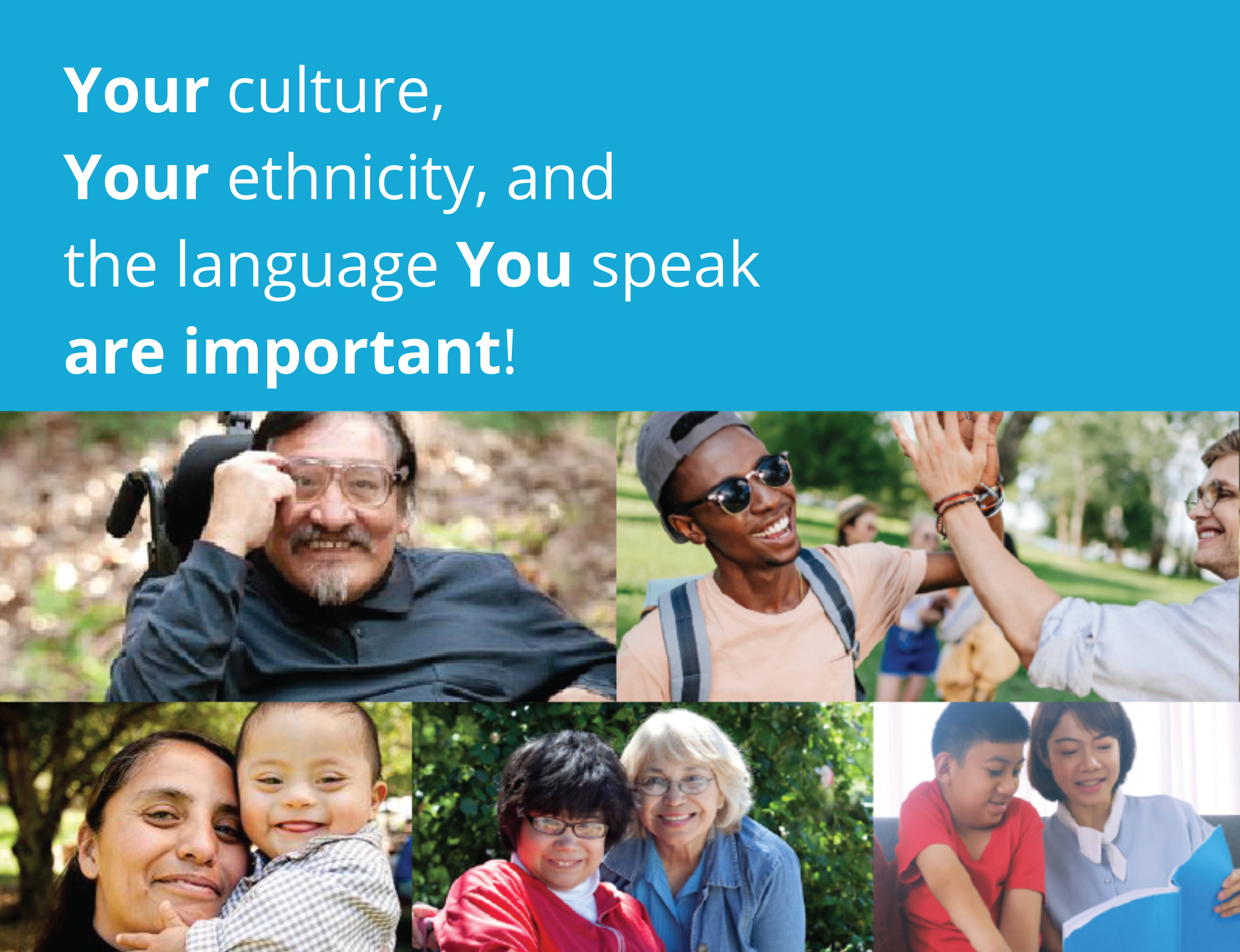 Language Access and Cultural Competency Plan (LACCP)