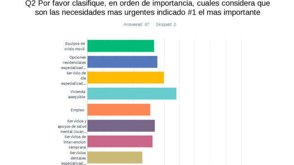 Results for needs in order of importance in Spanish